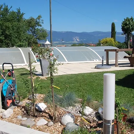 Daire Studio Sud - Avec Jardin Et Pool *